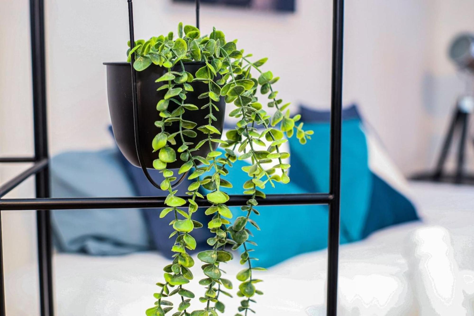 Apartament Parga 1 Hypercentre Toulouse - Capitole A 500M Zewnętrze zdjęcie